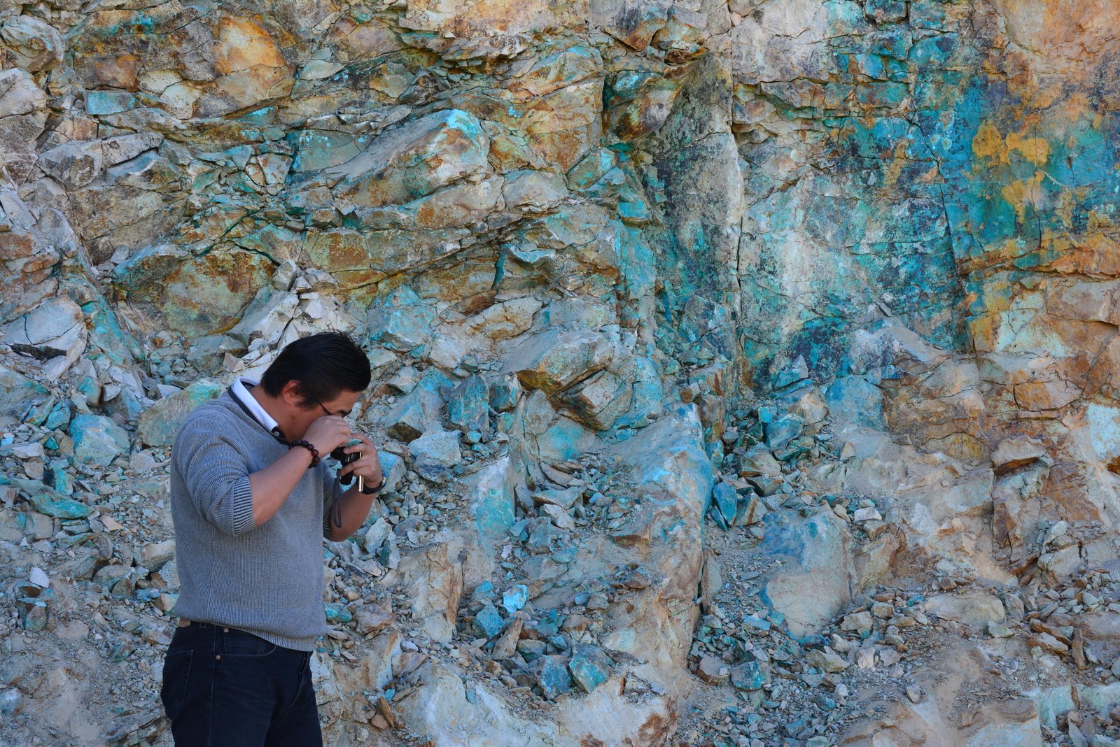 Real estate portfolio